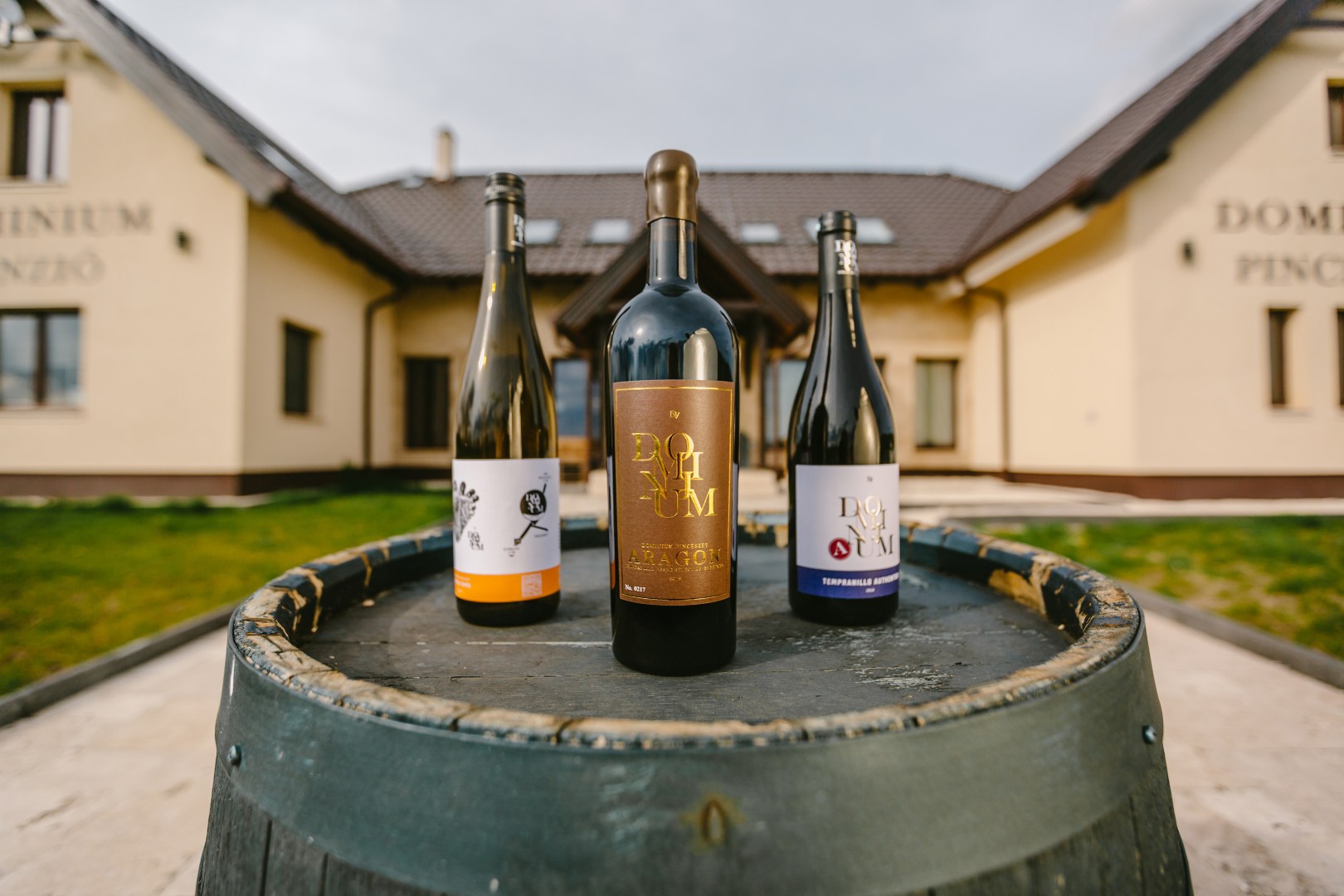 dominium-pinceszet-felso-magyarorszag-borregio-matra-gyongyos-borkostolo-foglalas-borindex-2