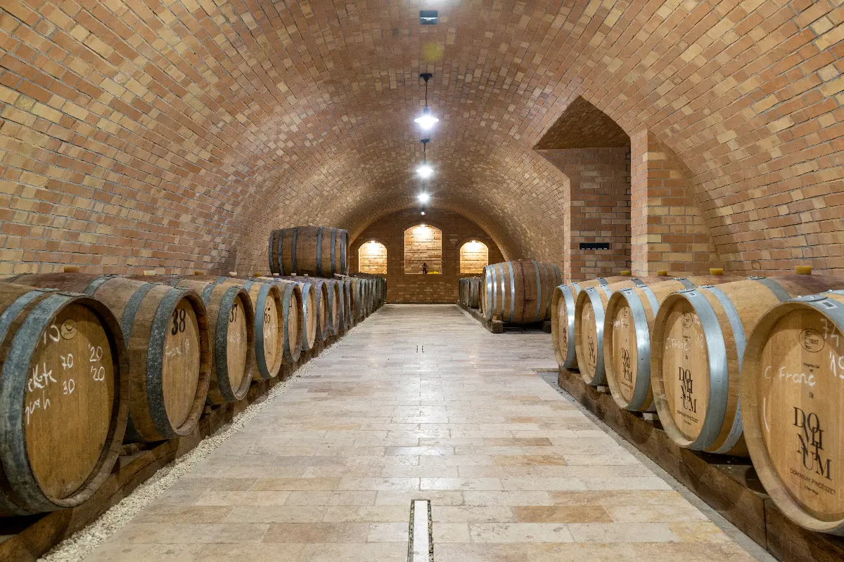 ts_05c231b8_954a_41cb_9be0_ba0ea7335021